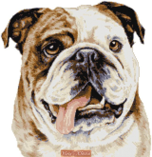 Semanka Stamped Cross Stitch Kits,Cute Colorful French Bulldog,Funny Cross  Stitch Kits for Adults,Easy Counted Cross Stitch Kits for Beginners,15.74”  X 19.68”