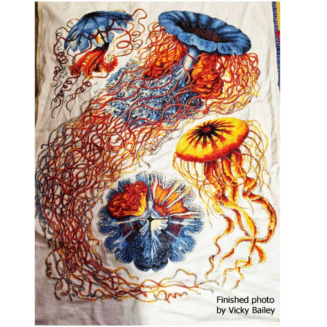 Jellyfish Haeckel advanced cross stitch kit