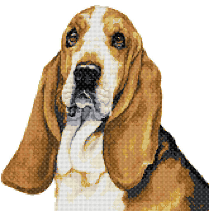 Basset Hound portrait cross stitch kit