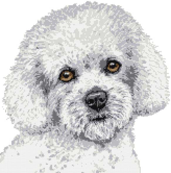 Bichon Frise portrait (v2) cross stitch kit