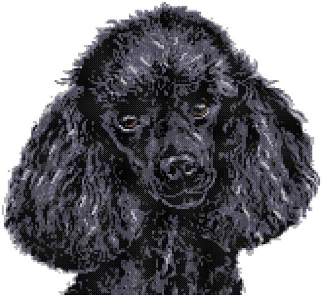 Black poodle (v3) cross stitch kit