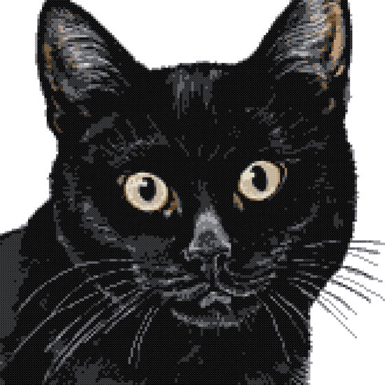 Black cat (v2) cross stitch kit