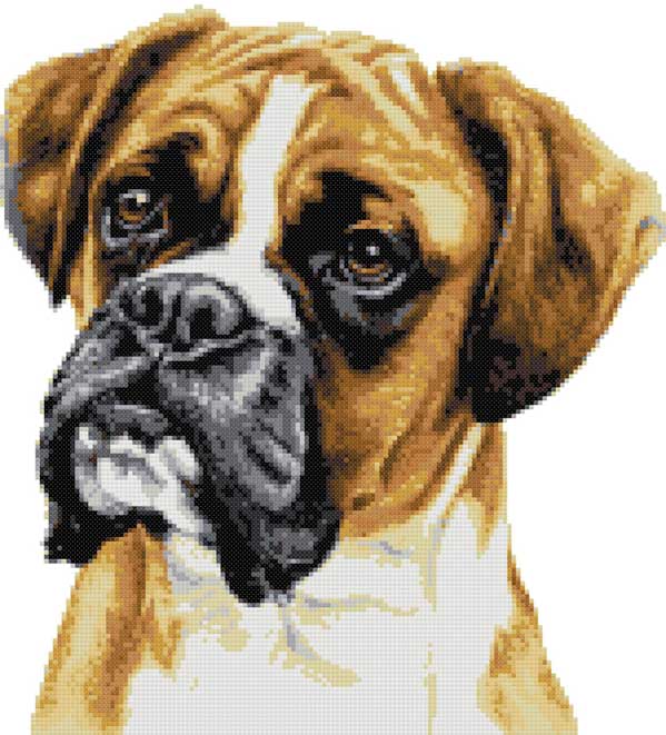 Boxer portrait cross stitch kit