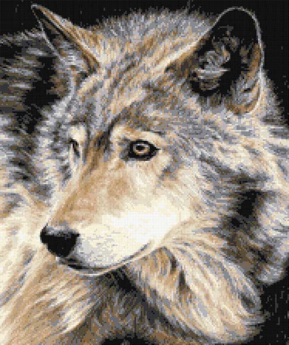 Curious eyes (v2) wolf cross stitch kit