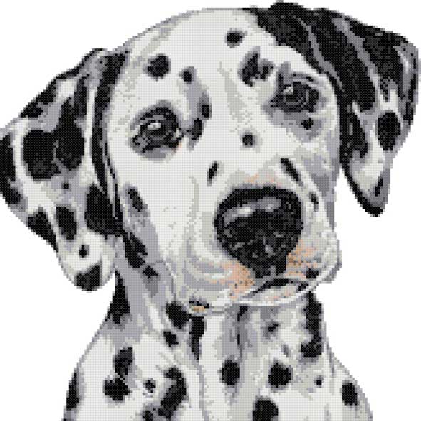 Dalmatian (v3) cross stitch kit