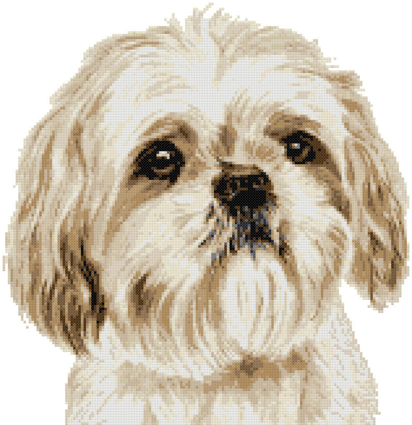 Gold and white Shih Tzu (v2) cross stitch kit