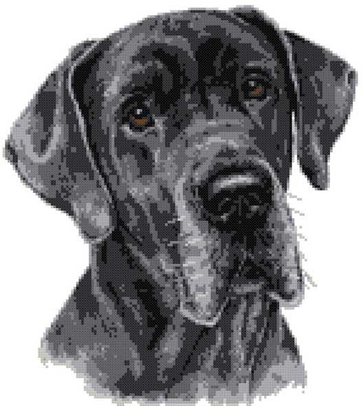 Great Dane No3 counted cross stitch kit