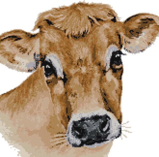 Jersey cow (v2) counted cross stitch kit