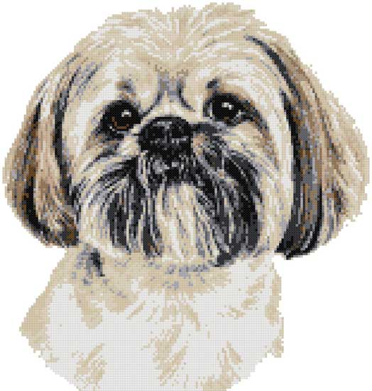 Lhasa Apso (v2) cross stitch kit