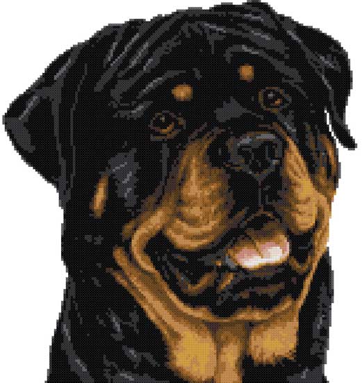 Rottweiler portrait cross stitch kit