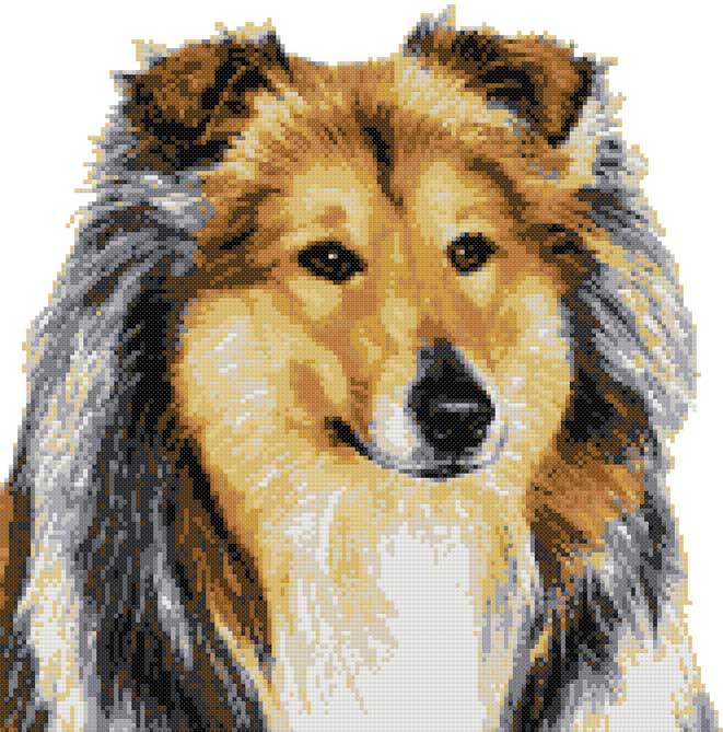 Rough collie (v3) counted cross stitch kit