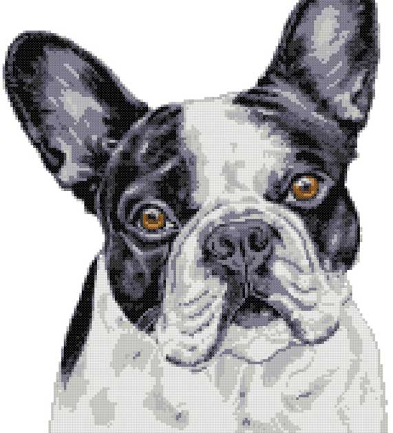 Dogs cross stitch kits | Yiotas XStitch