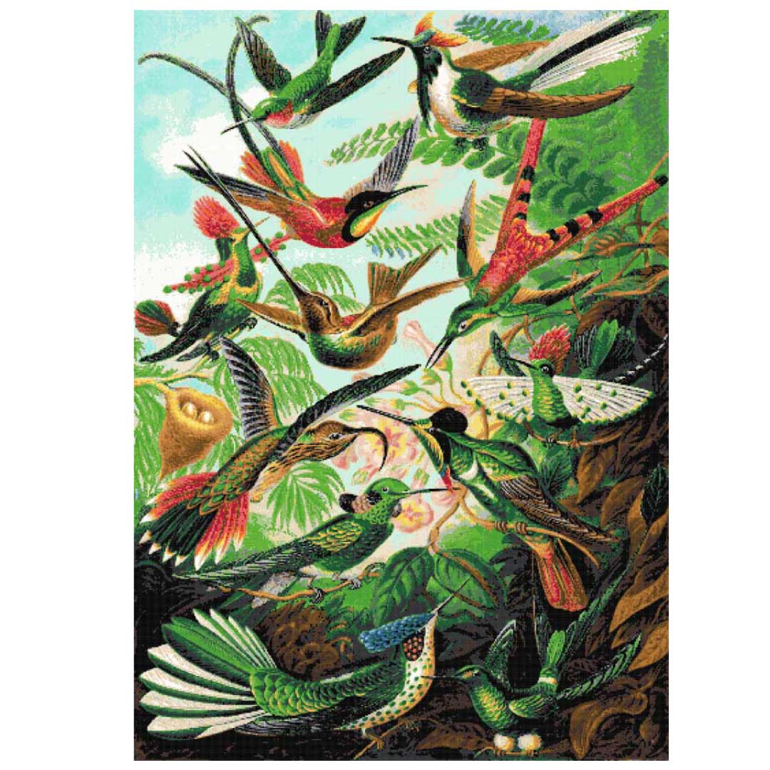 Hummingbirds Ernst Haeckel (v2) full coverage cross stitch kit