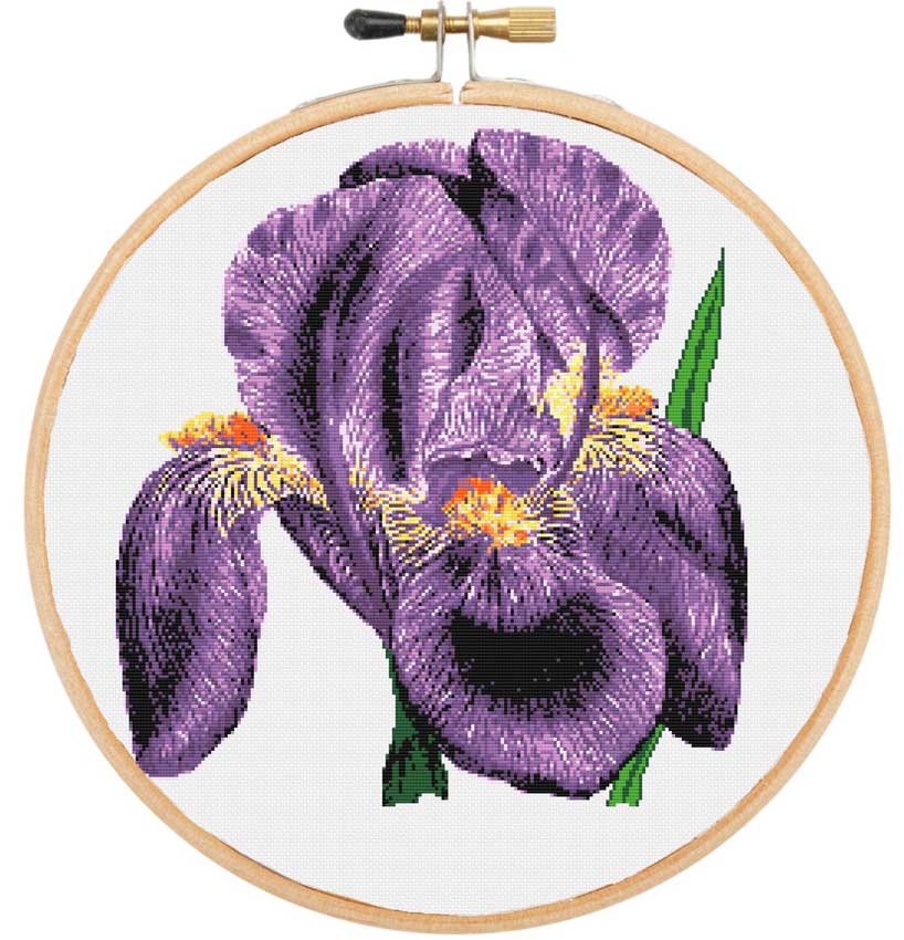 Iris (v2) cross stitch kit