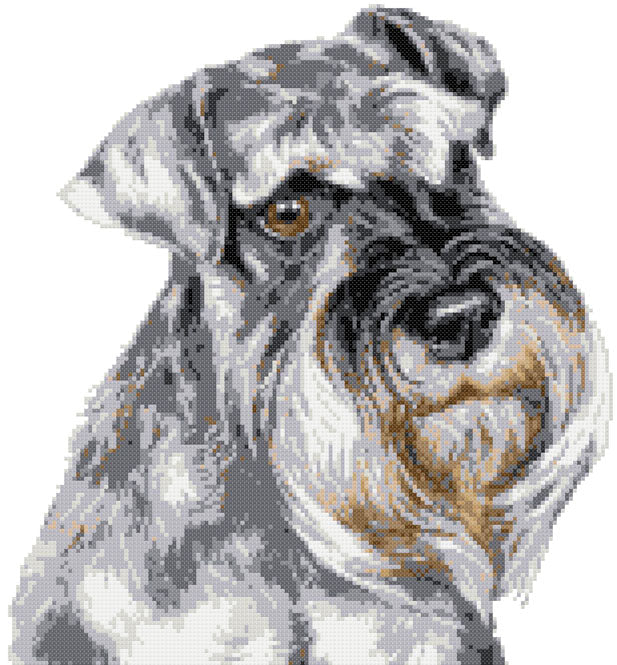 Schnauzer portrait (v2) cross stitch kit