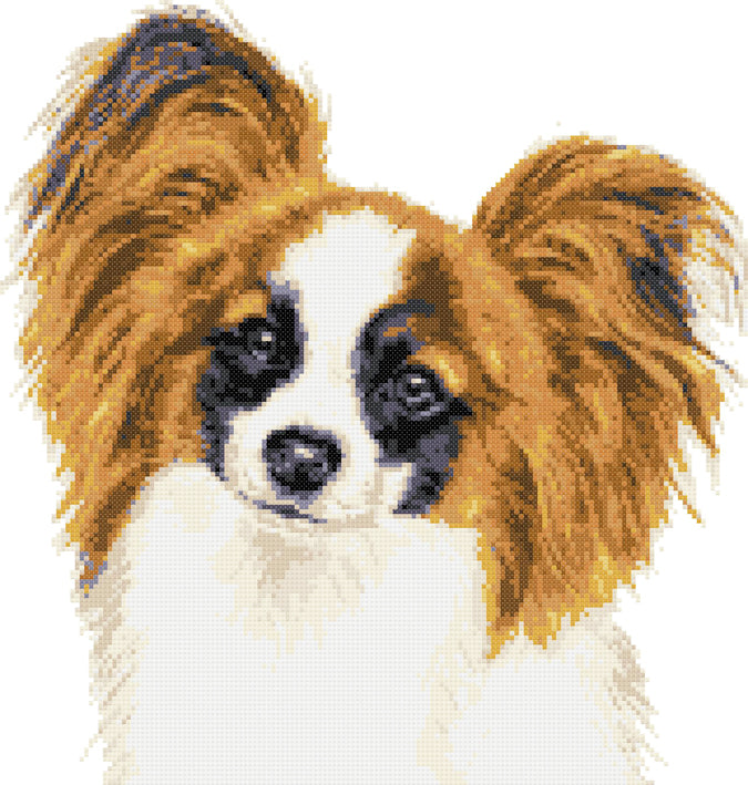 Papillon cross stitch kit