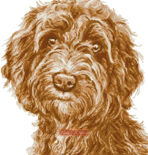 apricot cockapoo cross stitch