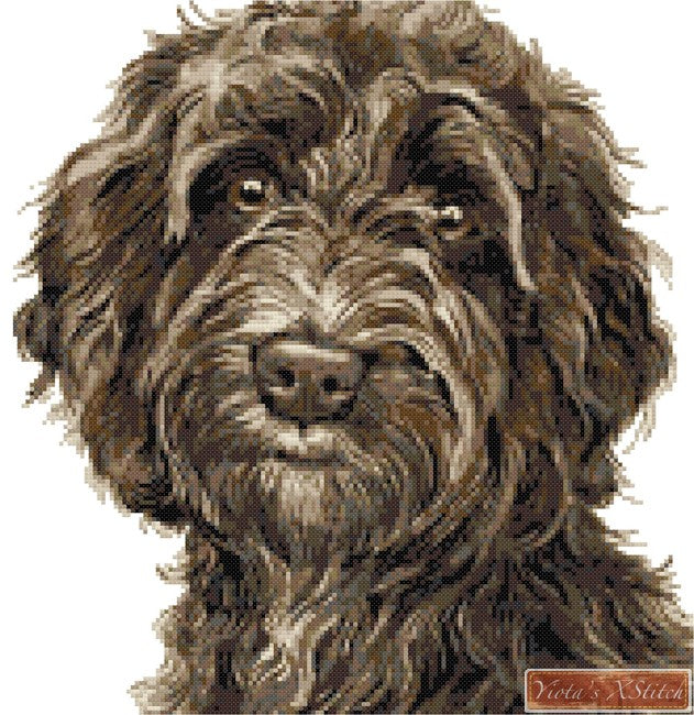 Brown Cockapoo cross stitch kit