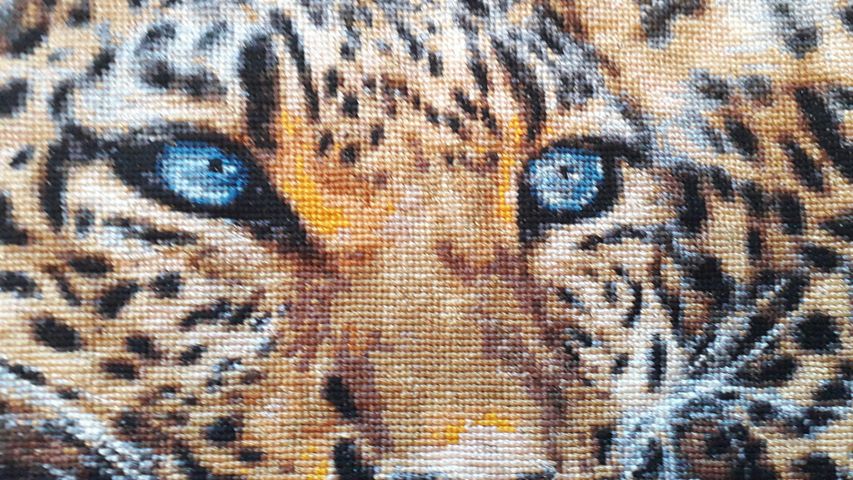 Leopard cross stitch kit