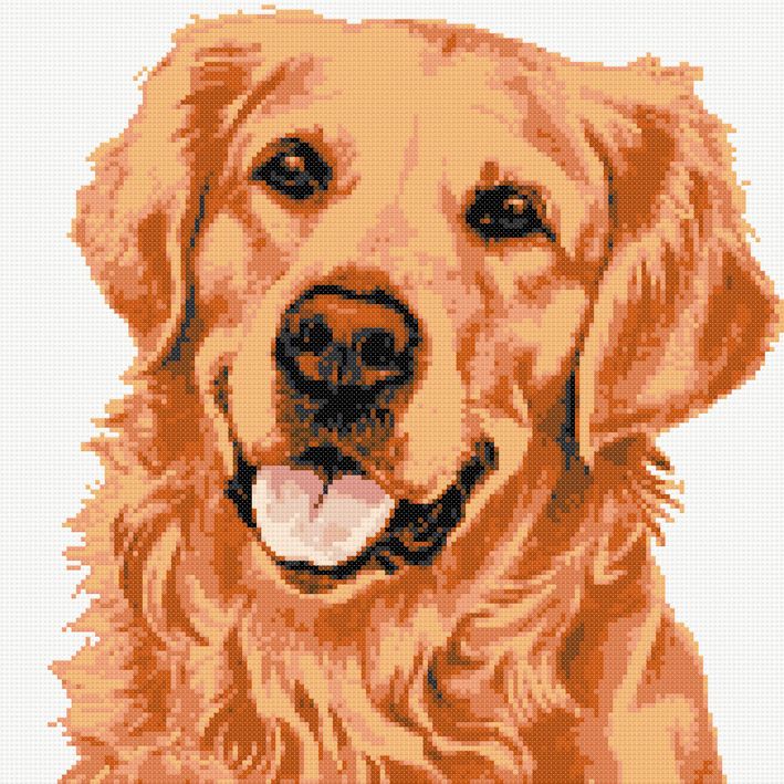 Red golden retriever counted cross stitch kit | Yiotas XStitch